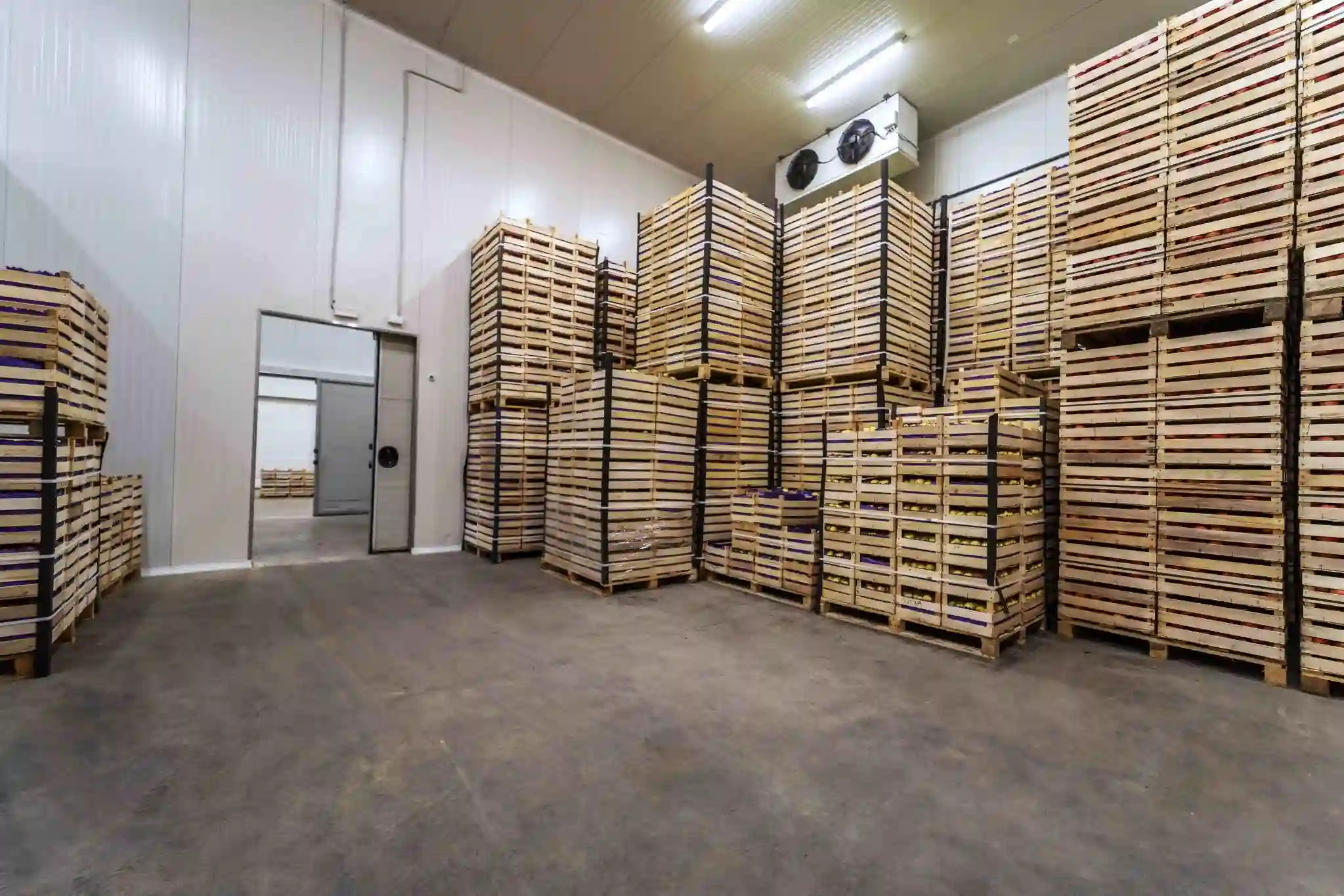 Commercial chiller room in Sharjah storing stacked crates with cooling system for temperature-controlled storage