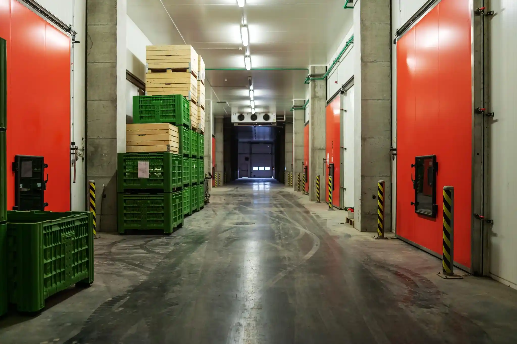 Warehouse with multiple chiller room doors and storage crates integrated into a cold storage facility in Abu Dhabi