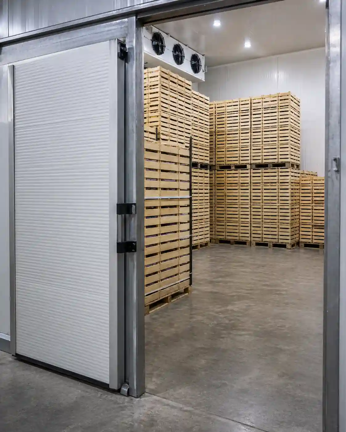 Walk-in cold storage manufacturers in UAE with stacked pallets and industrial refrigeration system for temperature-controlled storage
